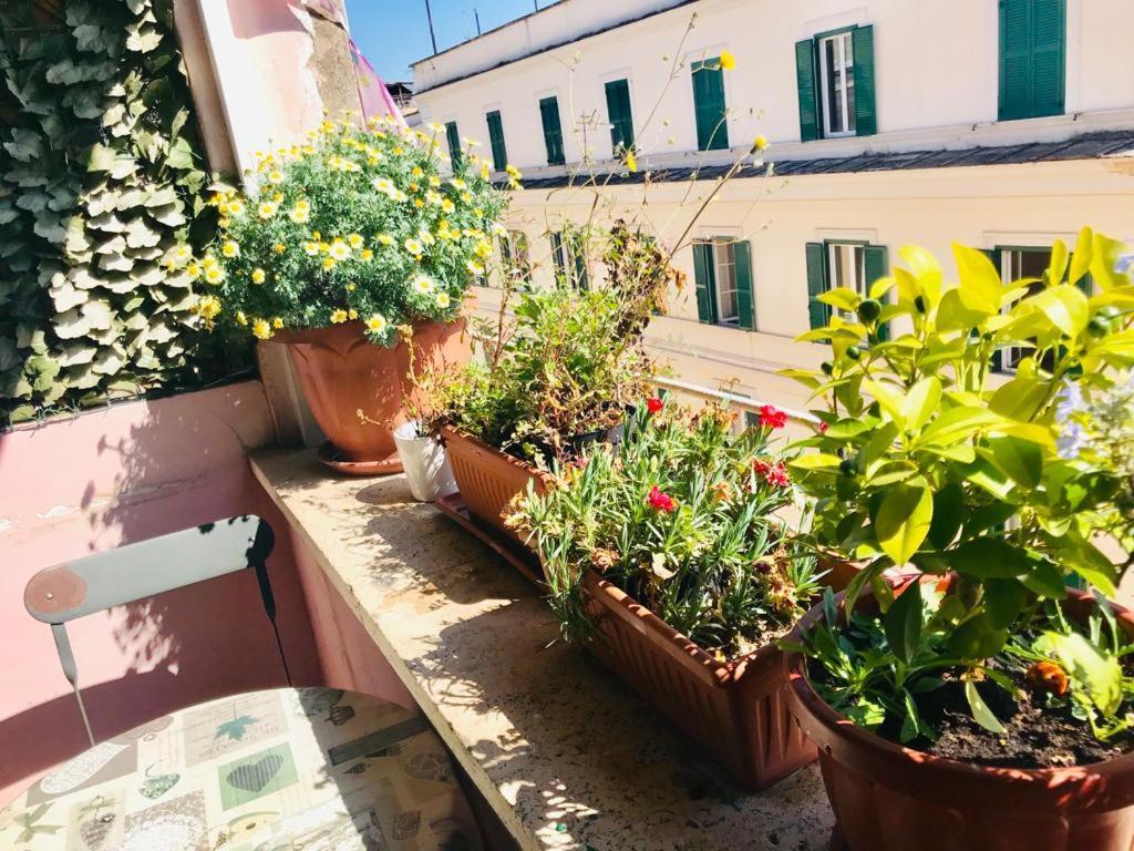 Green Guesthouse Roma Exterior foto